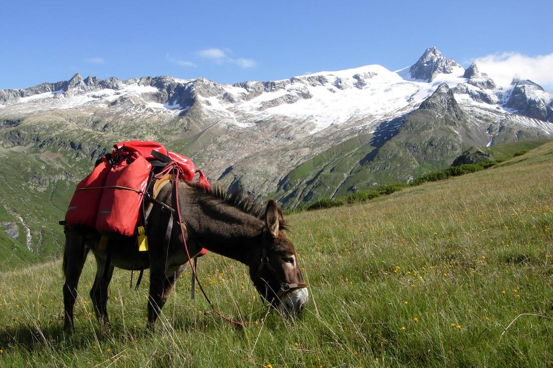 tour du mont blanc cairn